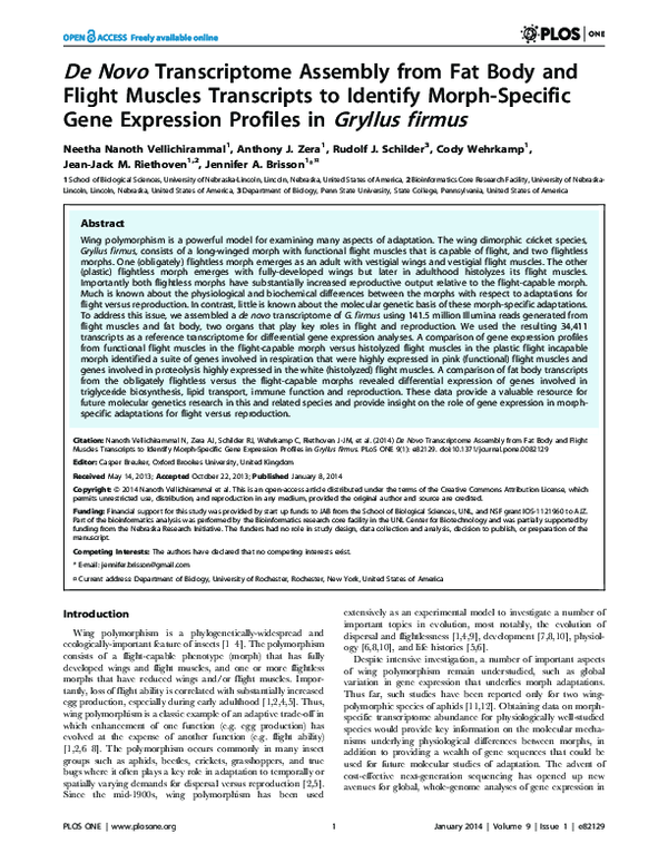 (PDF) De Novo Transcriptome Assembly from Fat Body and Flight Muscles ...