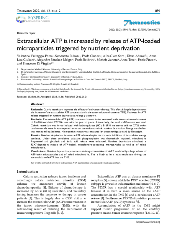(PDF) Extracellular ATP is increased by release of ATP-loaded ...