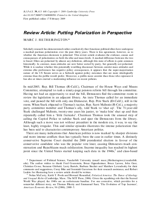(PDF) Putting Polarization in Perspective