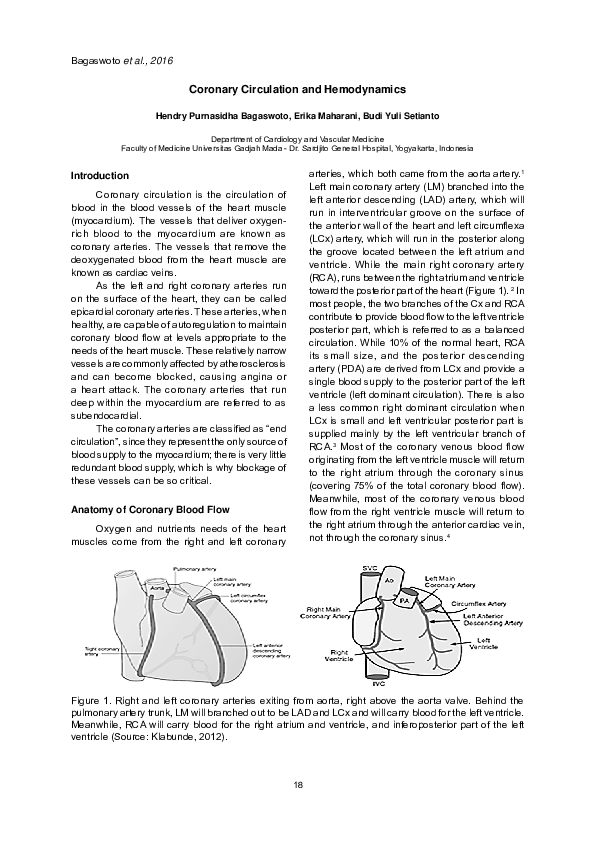 (PDF) Coronary Circulation and Hemodynamics