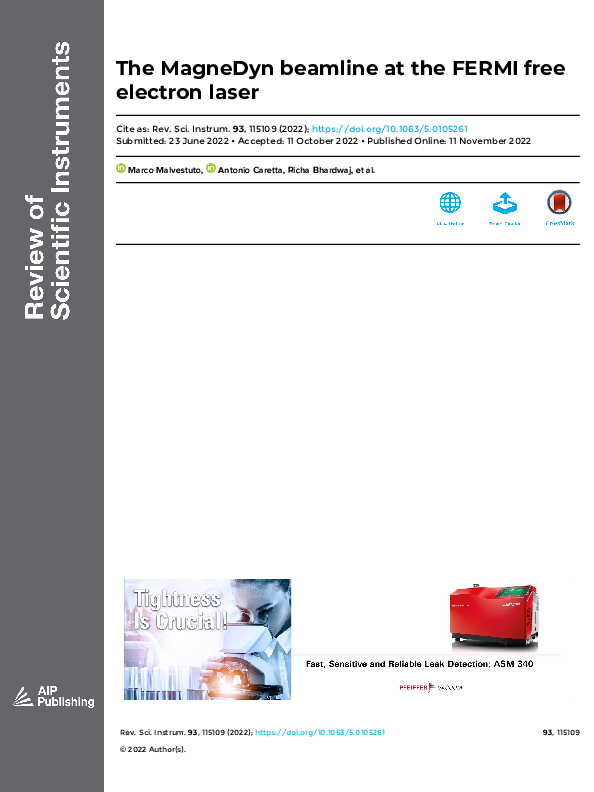 (PDF) The MagneDyn beamline at the FERMI free electron laser