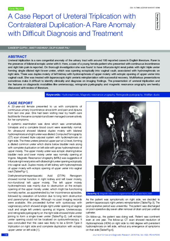 (PDF) A Case Report of Ureteral Triplication with Contralateral ...