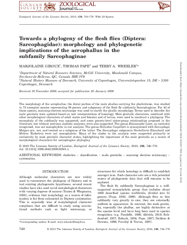 (PDF) Towards a phylogeny of the flesh flies (Diptera: Sarcophagidae ...