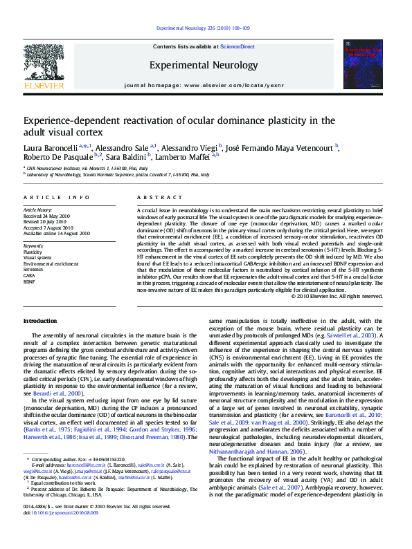 (PDF) Experience-dependent reactivation of ocular dominance plasticity ...