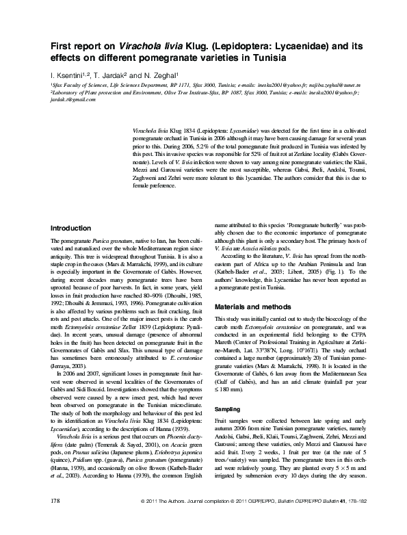 (PDF) First report on Virachola livia Klug. (Lepidoptera: Lycaenidae ...