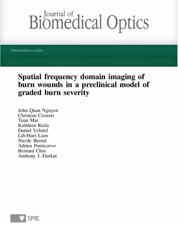 (PDF) Spatial frequency domain imaging of burn wounds in a preclinical ...