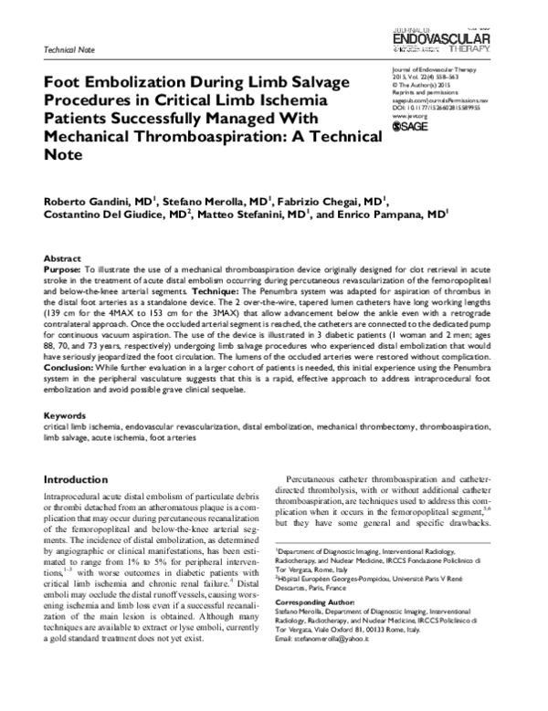 (PDF) Foot Embolization During Limb Salvage Procedures in Critical Limb ...