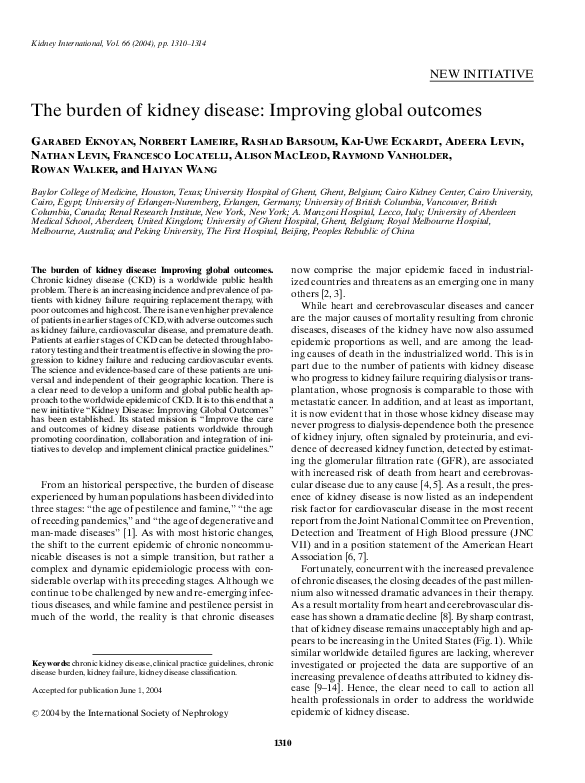 (PDF) The burden of kidney disease: Improving global outcomes