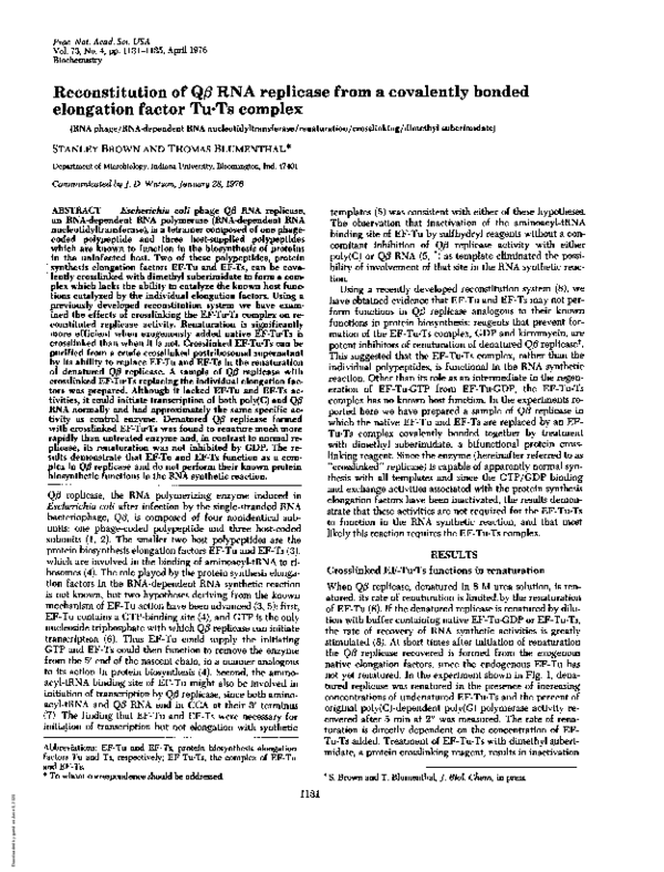(PDF) Reconstitution of Qbeta RNA replicase from a covalently bonded ...
