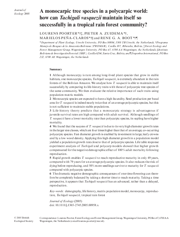 (PDF) A monocarpic tree species in a polycarpic world: how can ...