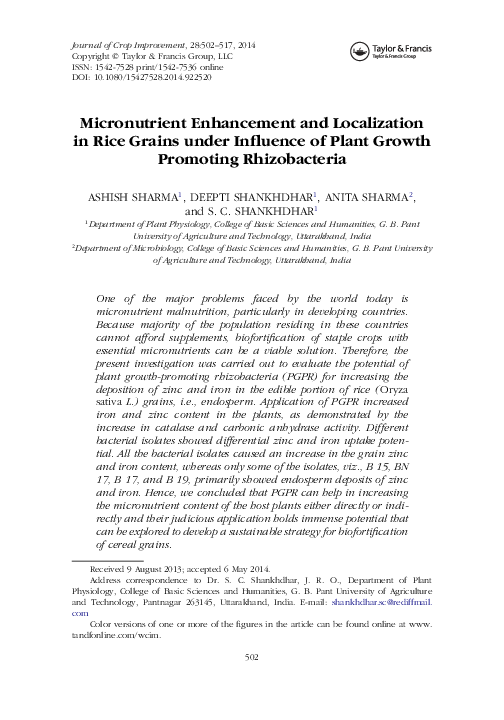 (PDF) Micronutrient Enhancement and Localization in Rice Grains under ...