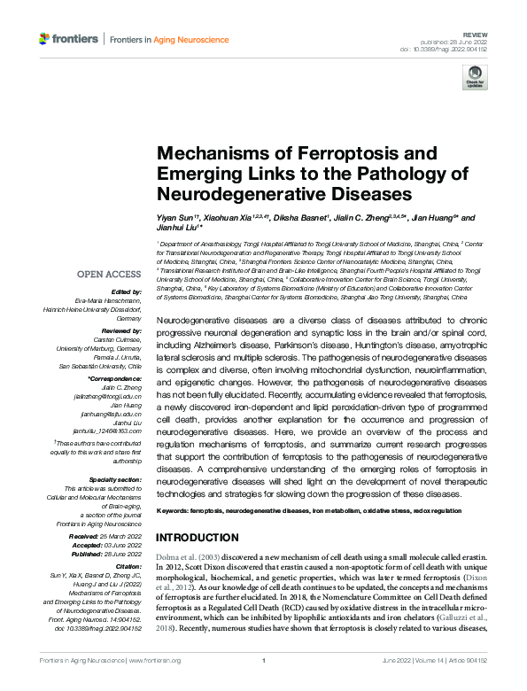 (PDF) Mechanisms of Ferroptosis and Emerging Links to the Pathology of ...