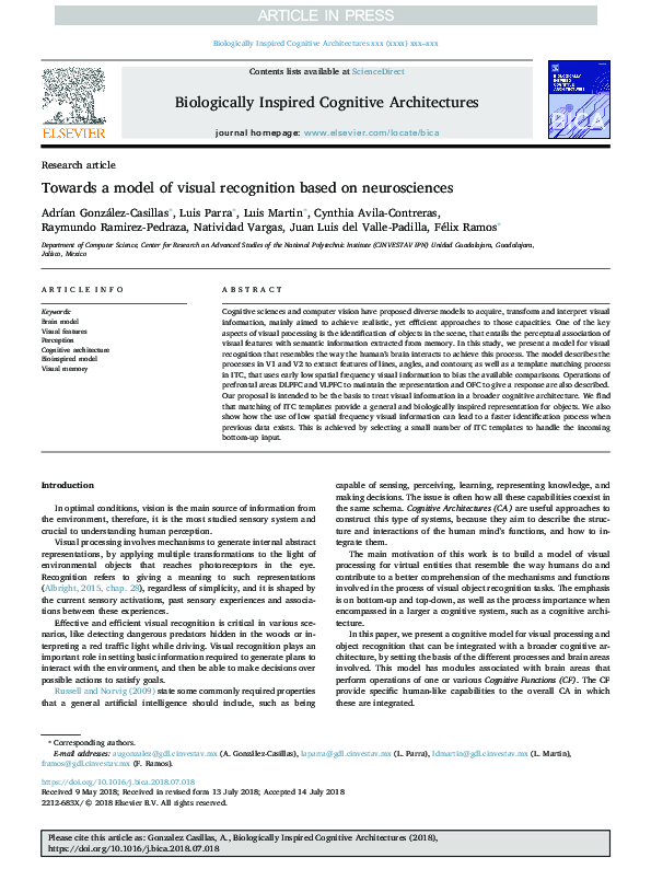 (PDF) Towards a model of visual recognition based on neurosciences