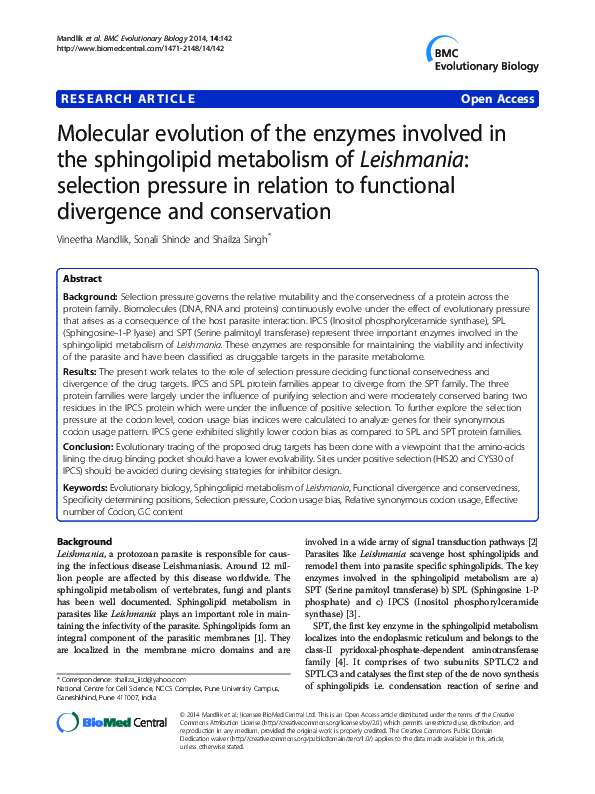 (PDF) Molecular evolution of the enzymes involved in the sphingolipid ...