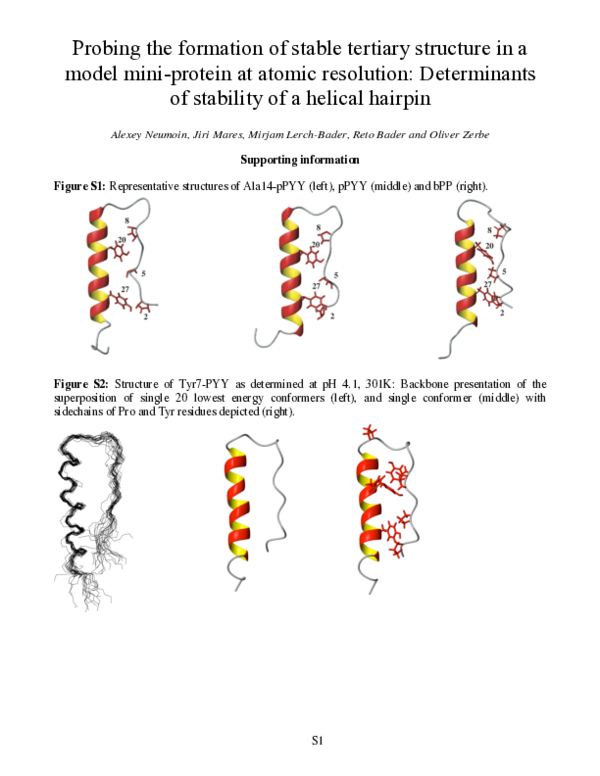 (PDF) Probing the Formation of Stable Tertiary Structure in a Model ...