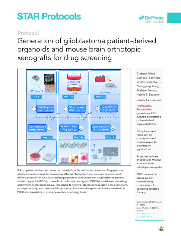 (PDF) Generation of glioblastoma patient-derived organoids and mouse ...