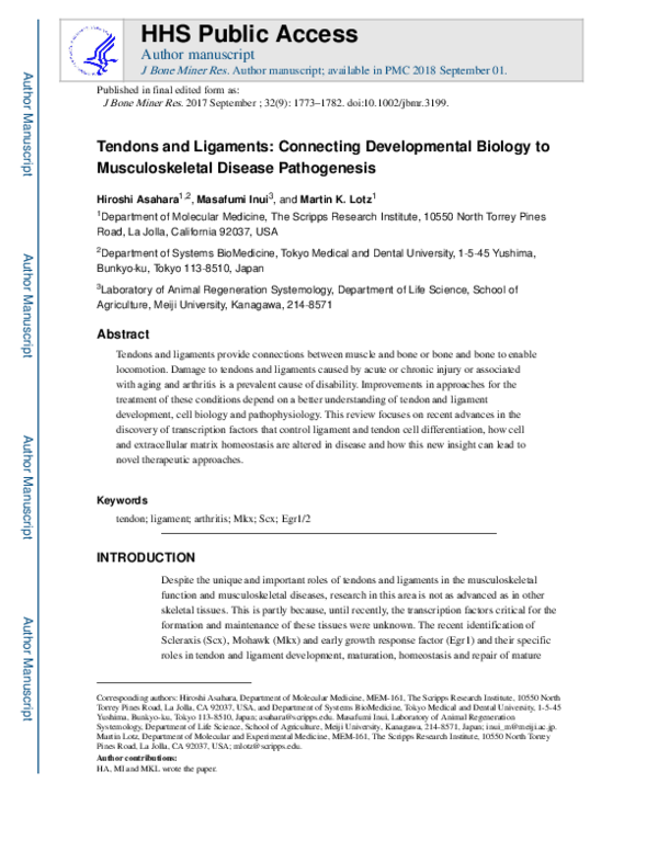 (PDF) Faculty of 1000 evaluation for Tendons and ligaments: connecting ...