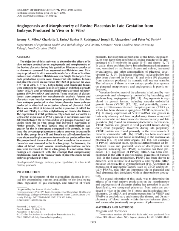 (PDF) Angiogenesis and Morphometry of Bovine Placentas in Late ...