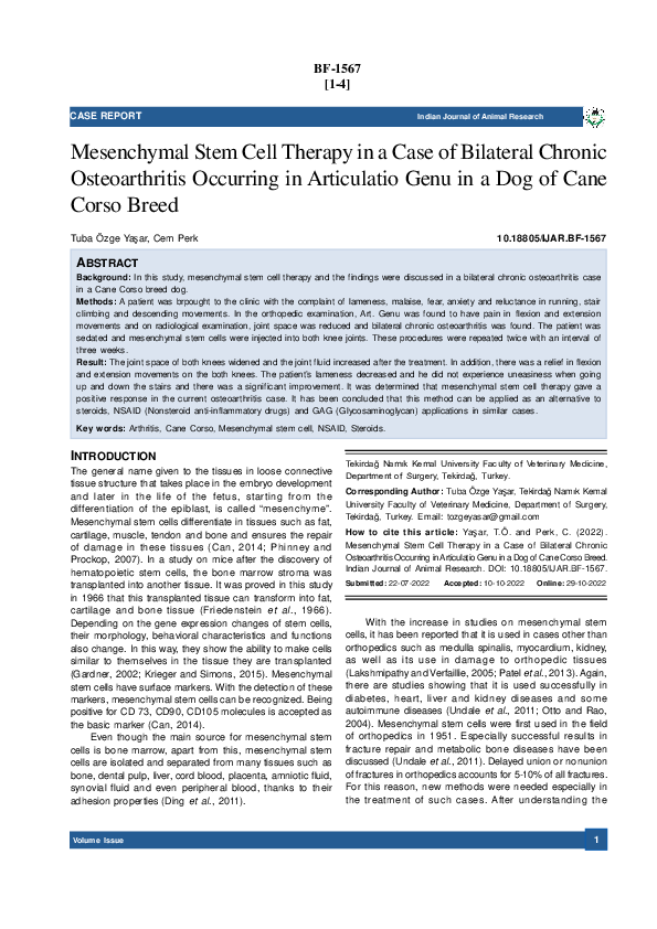 (PDF) Mesenchymal Stem Cell Therapy in a Case of Bilateral Chronic ...