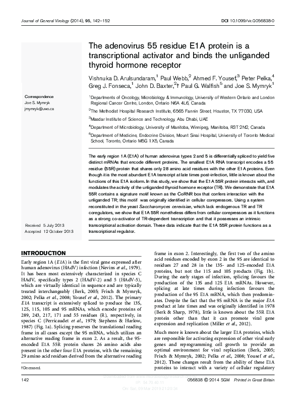 (PDF) The adenovirus 55 residue E1A protein is a transcriptional ...