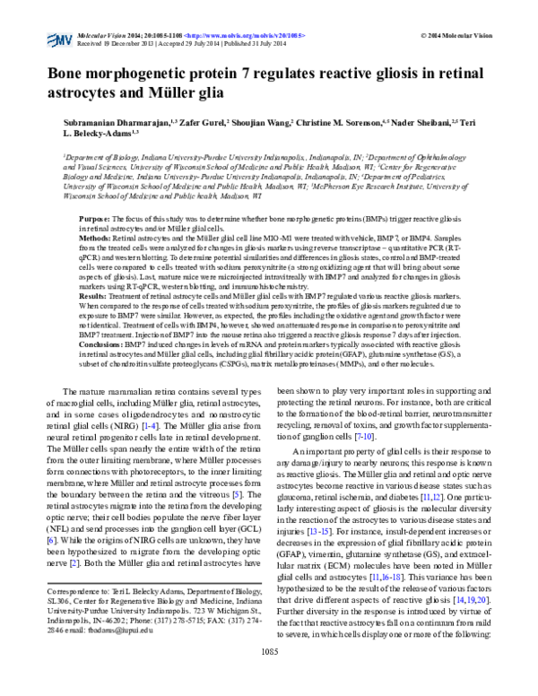 (PDF) Bone morphogenetic protein 7 regulates reactive gliosis in ...