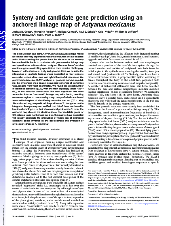 (PDF) Synteny and candidate gene prediction using an anchored linkage ...