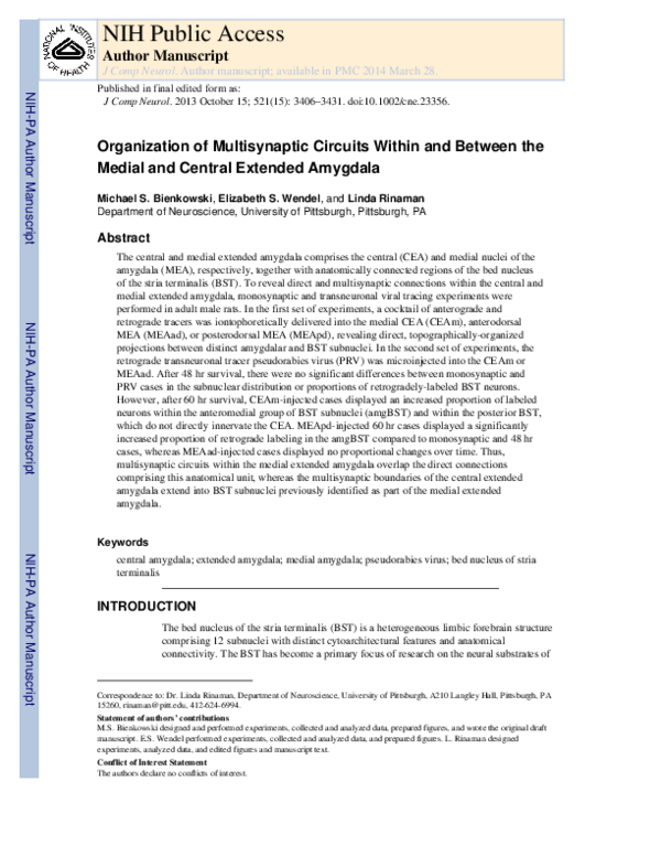 (PDF) Organization of multisynaptic circuits within and between the ...