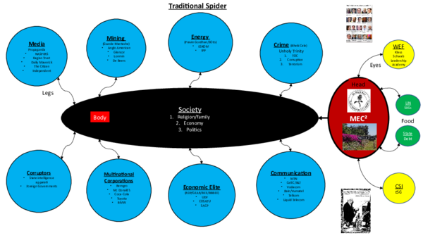 (PPT) Traditional Intelligence Spider identifying the crises in SA