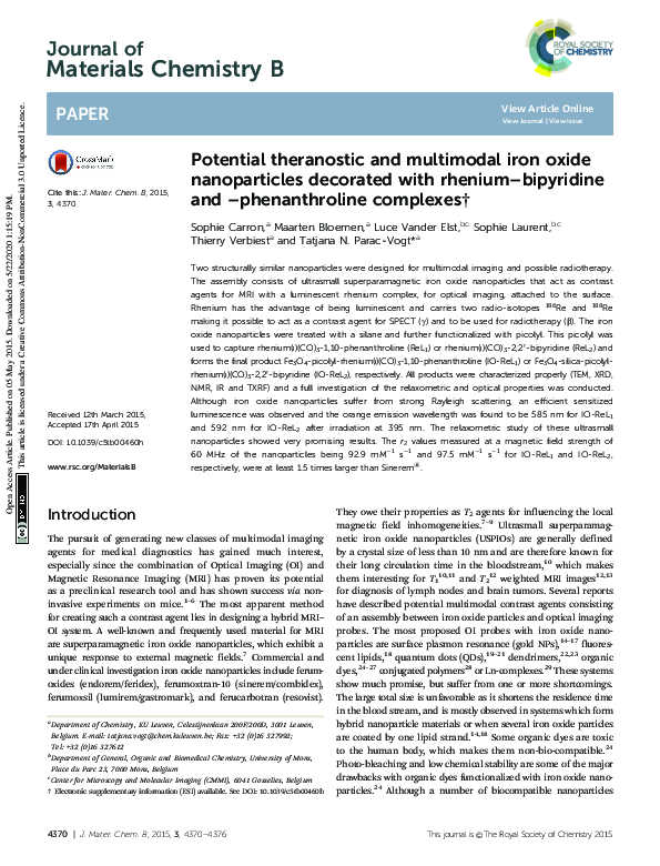 (PDF) Potential theranostic and multimodal iron oxide nanoparticles ...