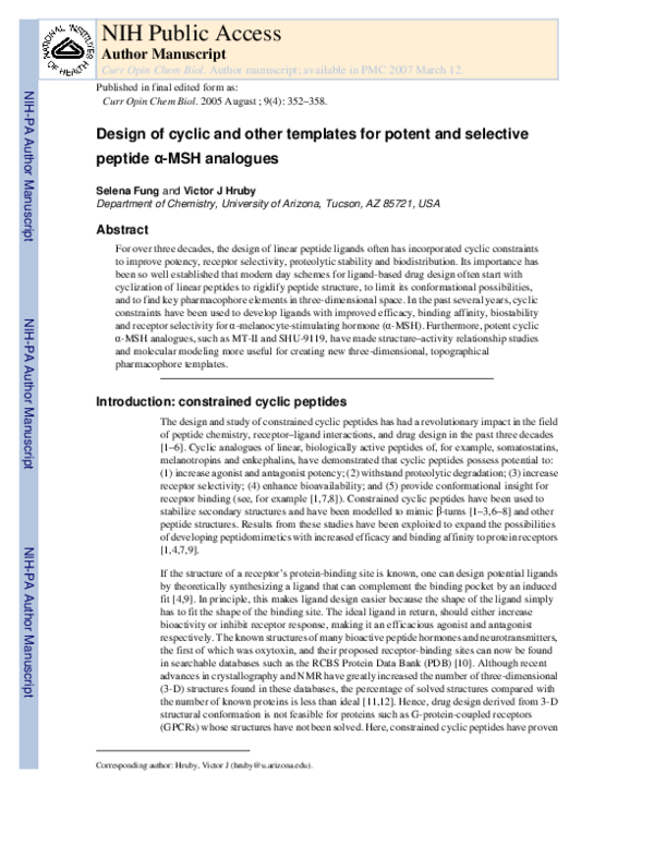Design of cyclic and other templates for potent and selective peptide α-MSH analogues