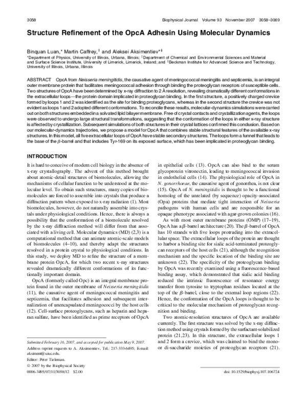(PDF) Structure Refinement of the OpcA Adhesin Using Molecular Dynamics