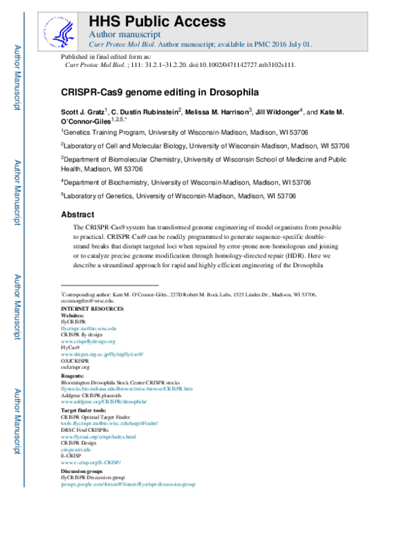 (PDF) CRISPR‐Cas9 Genome Editing in Drosophila