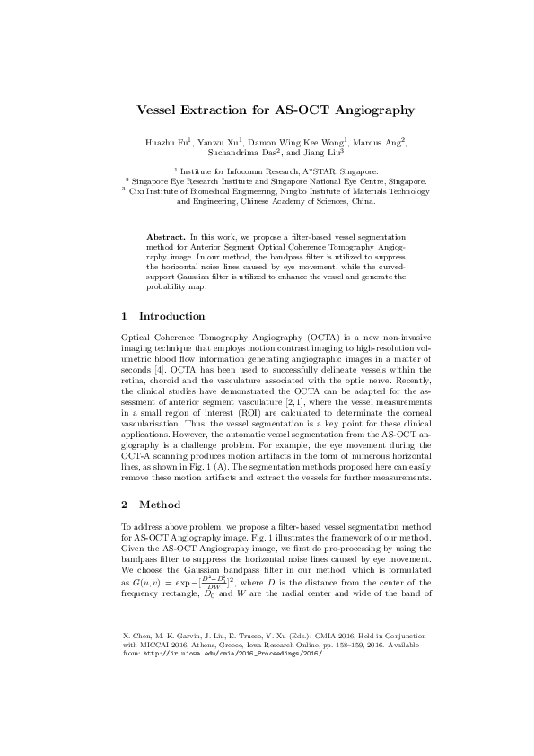 (PDF) Vessel Extraction for AS-OCT Angiography