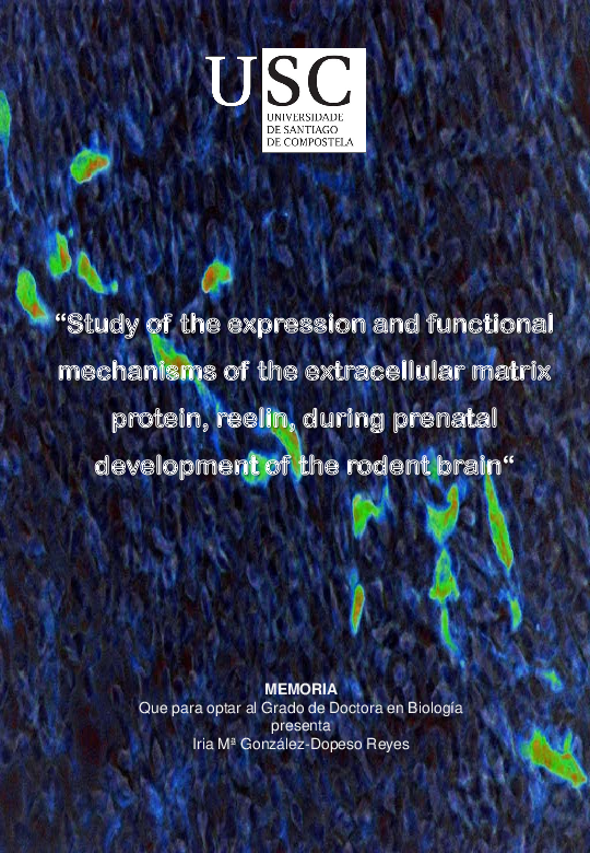 (PDF) Study of the expression and functional mechanisms of the ...