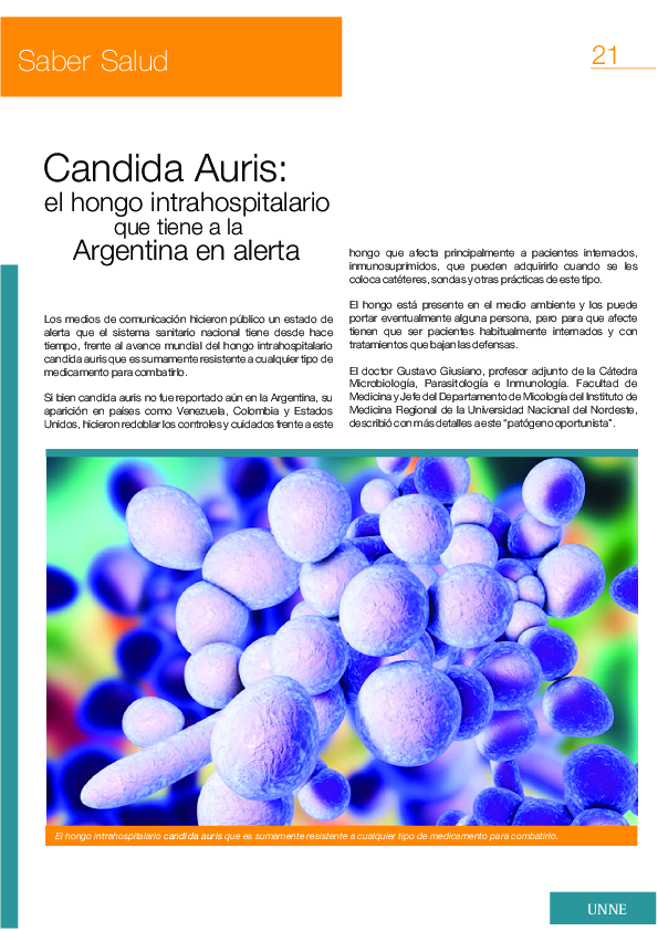 (PDF) Candida Auris: el hongo ¡ntrahospitalario que tiene a la ...