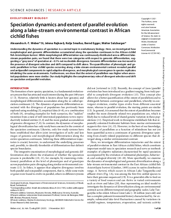 (PDF) Speciation dynamics and extent of parallel evolution along a lake ...