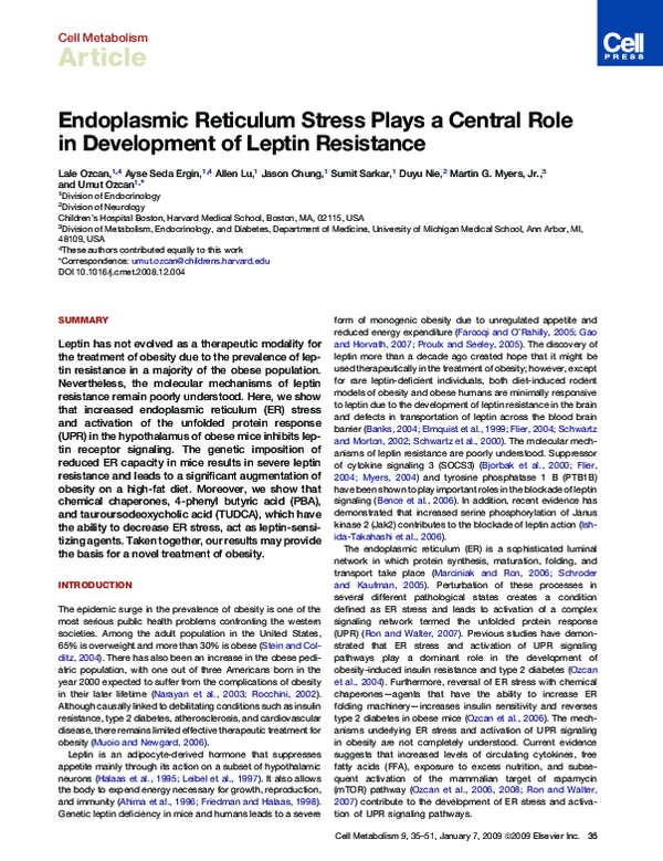 (PDF) Endoplasmic Reticulum Stress Plays a Central Role in Development ...