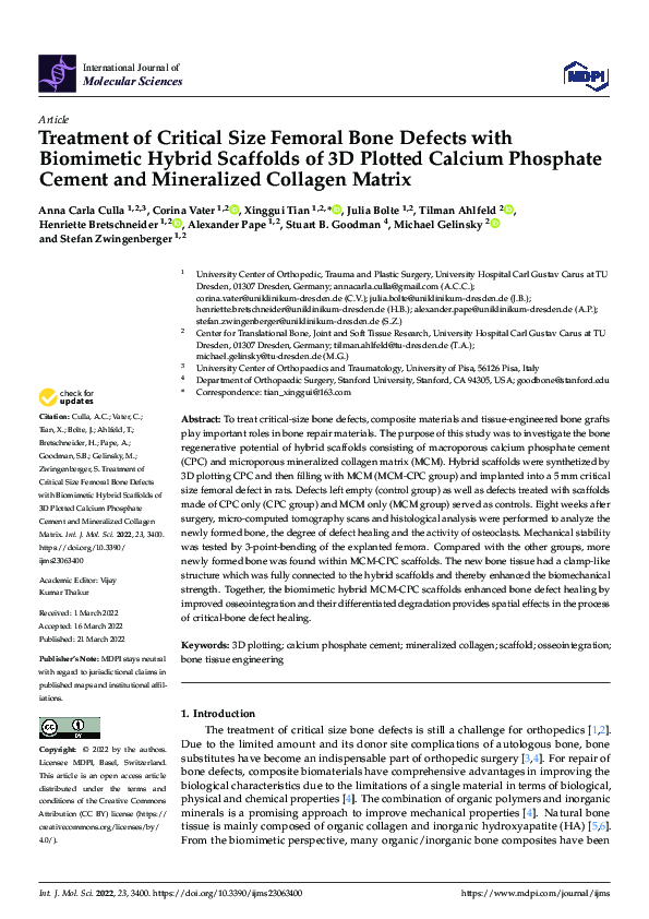 (PDF) Treatment of Critical Size Femoral Bone Defects with Biomimetic ...