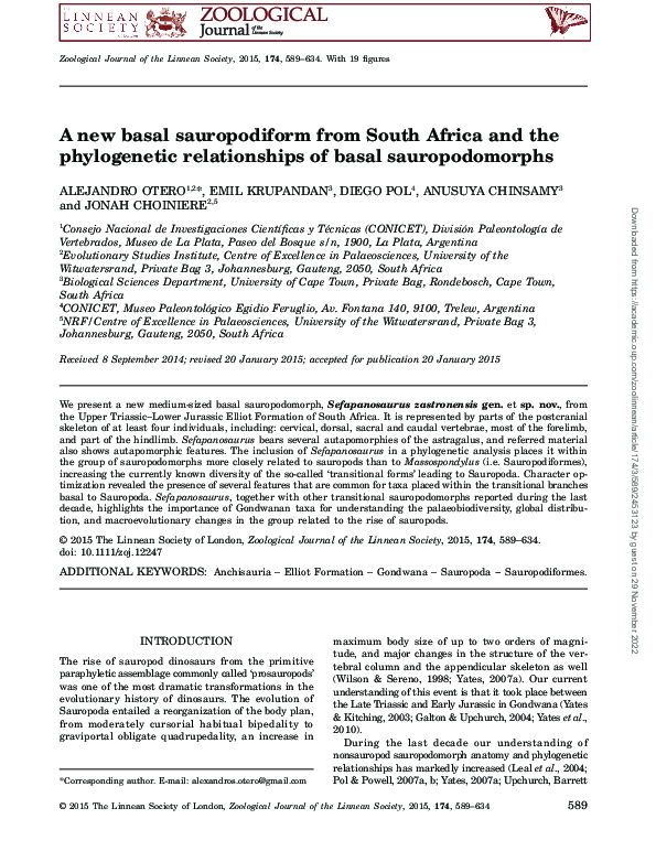 (PDF) A new basal sauropodiform from South Africa and the phylogenetic ...