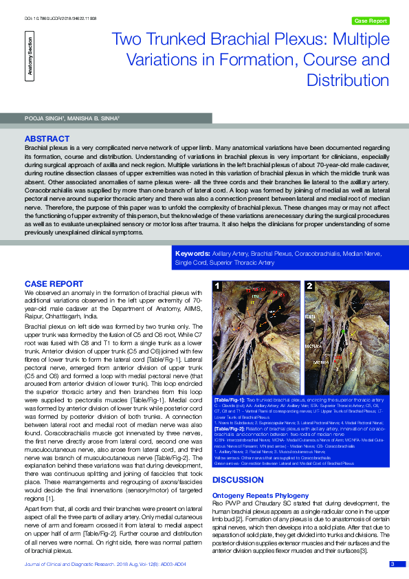 (PDF) Two Trunked Brachial Plexus: Multiple Variations in Formation ...