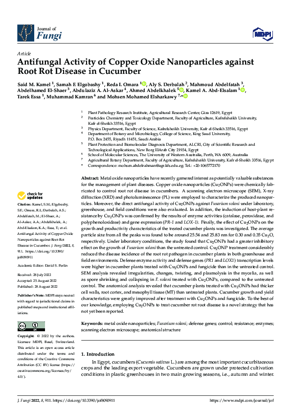 (PDF) Antifungal Activity of Copper Oxide Nanoparticles against Root ...