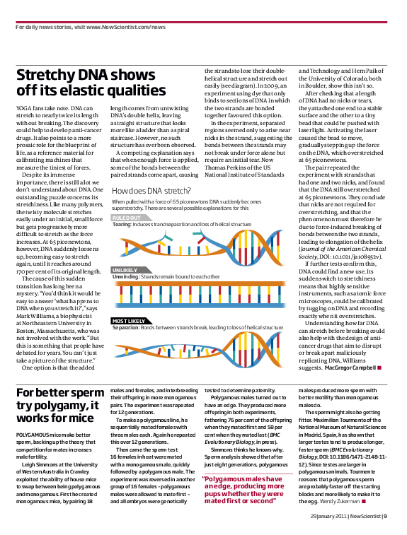 (PDF) Stretchy DNA shows off its elastic qualities