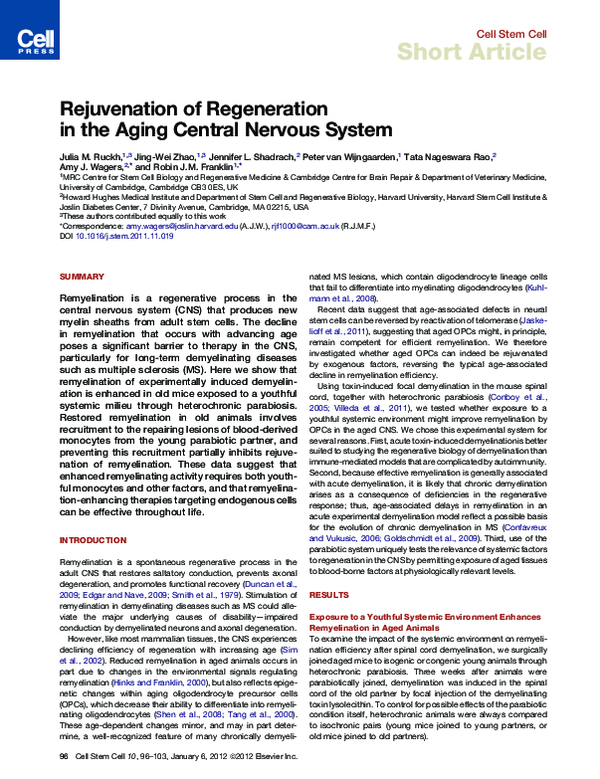 (PDF) Rejuvenation of Regeneration in the Aging Central Nervous System