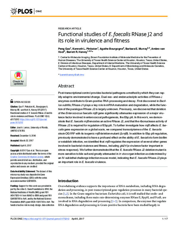 (PDF) Functional studies of E. faecalis RNase J2 and its role in ...