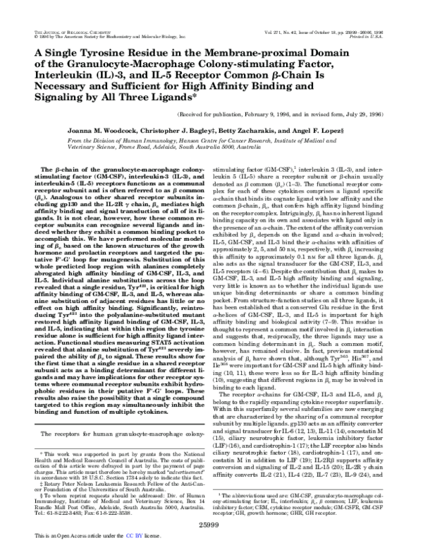 (PDF) A Single Tyrosine Residue in the Membrane-proximal Domain of the ...