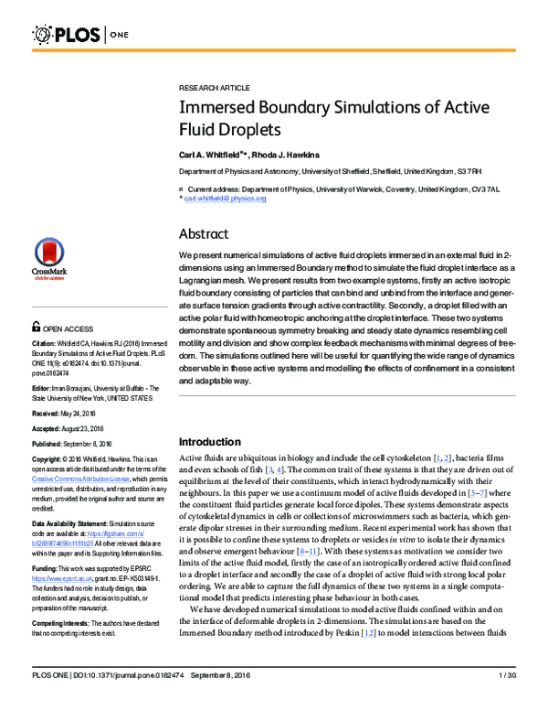 (PDF) Immersed Boundary Simulations of Active Fluid Droplets