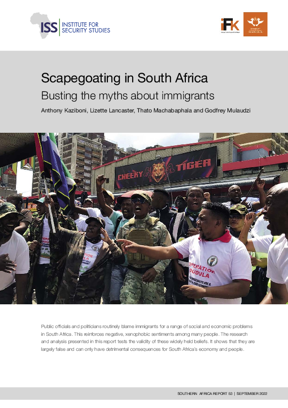 (PDF) Scapegoating in South Africa: Busting the myths about immigrants