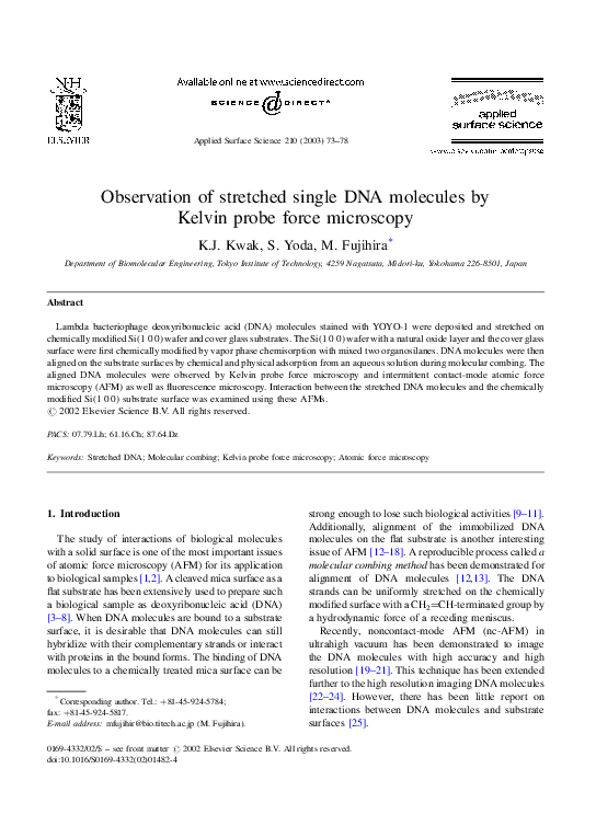 (PDF) Observation of stretched single DNA molecules by Kelvin probe ...