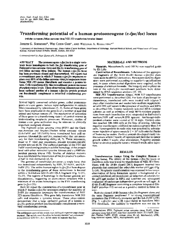 (PDF) Transforming potential of a human protooncogene (c-fps/fes) locus