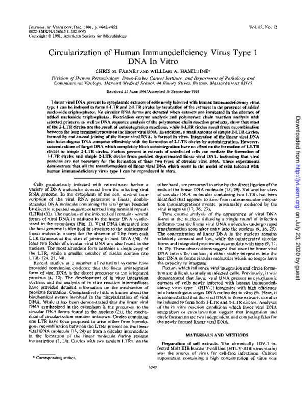 (PDF) Circularization of human immunodeficiency virus type 1 DNA in vitro